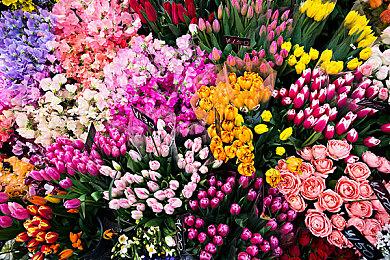 沙加系列35周年直播活动将于12月15日举行